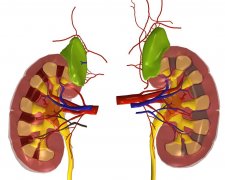 �����˺������8����ϰ��